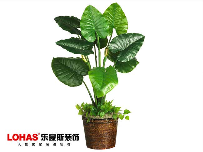 石家莊裝修效果圖