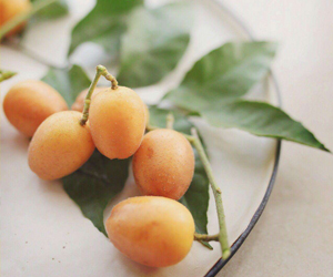 黃皮果有哪些功效？