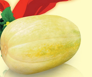 吃甜瓜的百種不同的方法及它的營養(yǎng)價(jià)值