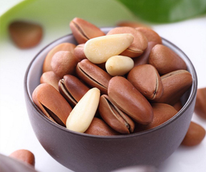 松子和榛子是一樣的嗎？