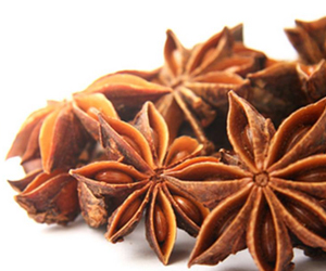 八角怎么選購呢？是什么樣的價(jià)位呢？