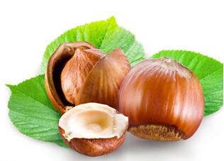 榛子和栗子是一樣的嗎？