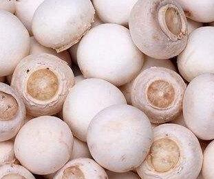 口蘑、香菇、草菇一樣嗎？它們有什么區(qū)別呢？