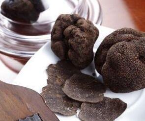 黑松露是什么？