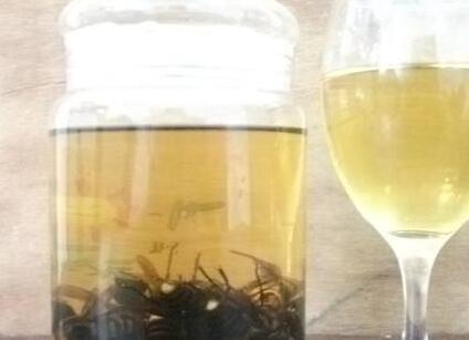 虎頭蜂酒怎么樣？有哪些功效呢？