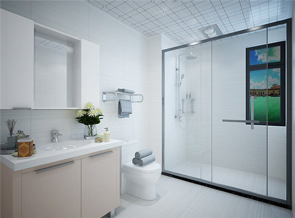 精英時(shí)代-衛(wèi)生間